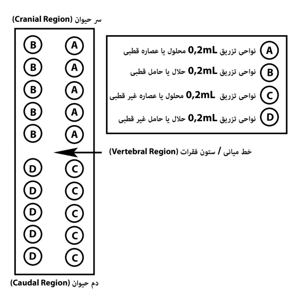 آزمون تحریک زایی داخل جلدی